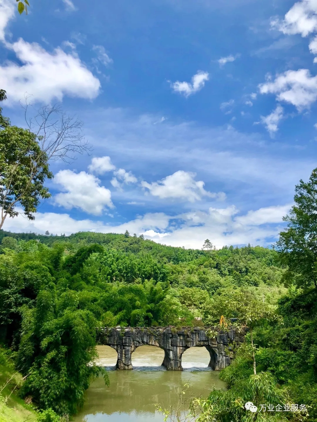 汽車(chē)開(kāi)動(dòng)分割線